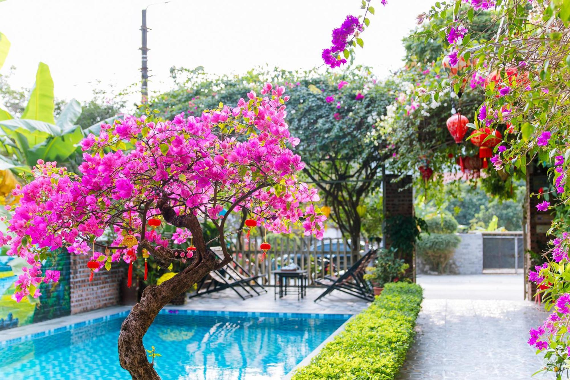 Tam Coc Viet Ha Homestay Ninh Binh Buitenkant foto